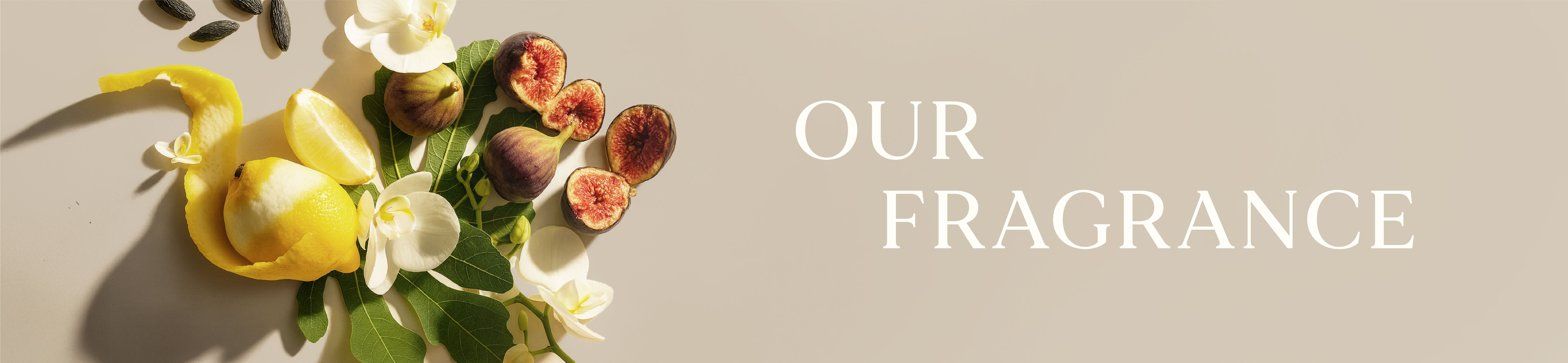 Our Fragrance